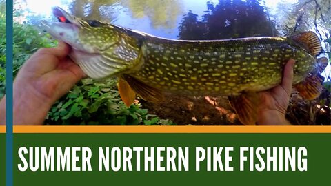 Northern Pike River Fishing // Pike Fishing Michigan // Mepps Spinners// Northern Pike Fishing//