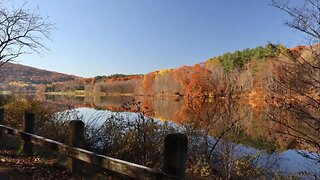 "Exploring the Colors of Fall: A Nature Walk Adventure" Enjoy