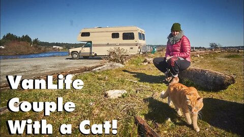 Van Life Couple with Cat live in PNW Canada During the Winter!!