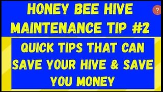 #2 Beekeeper Maintenance Tips for Honeybee Hive#beekeeping #honeybee #honey #bees #trending #viral