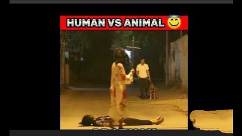 Human Vs animal comedy