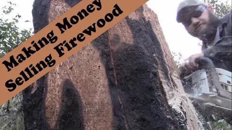 Making Money Selling Firewood on the Homestead