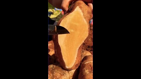 amazing fruits fruit cutting oddly satisfying