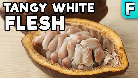 The Fruit That Grows Around Chocolate | Cacao Fruit | Fruits You've Never Heard Of