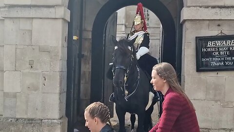 Paper blown by the wind spooks the horse #horseguardsparade