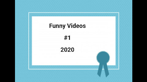 New Funny Videos 2020 (・o・) # 1