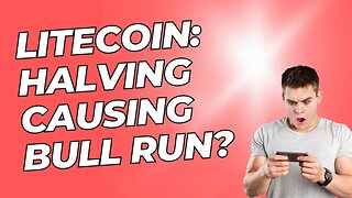 LITECOIN Upcoming Halving Causing The BULL RUN?