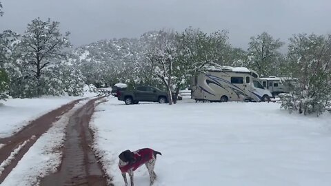 May 2022 Snowstorm Colorado Springs