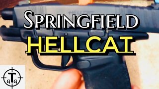 Range Review of the Springfield Armory Hellcat....Could it be the best Carry 2020??