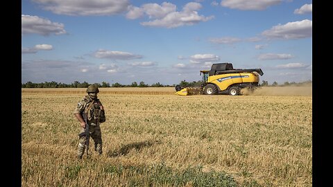 Moribundo vital pacto del grano, ¿quién tiene culpa, Rusia o Ucrania?