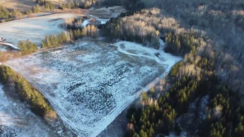 Flying Drone near Plan B Prince Edward Island