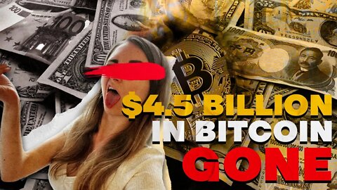 MASSIVE Crypto Heist: The Couple that Stole $4.5 Billion in Bitcoin. Ilya Lichtenstein & H. Morgan