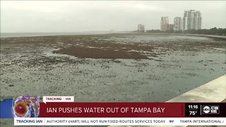 Larissa Scott in Hillsborough | Hurricane Ian pushes water out of Tampa Bay.