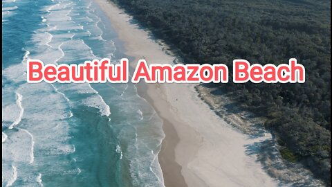 Amazon beach