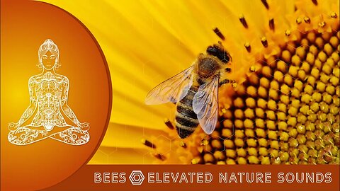 Healing Sound of Bees / Nature's Miracle Frequency For Whole Body and Mind Balance ASMR