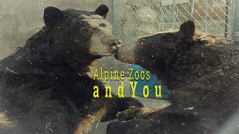 Alpine Zoos and You: Documentary