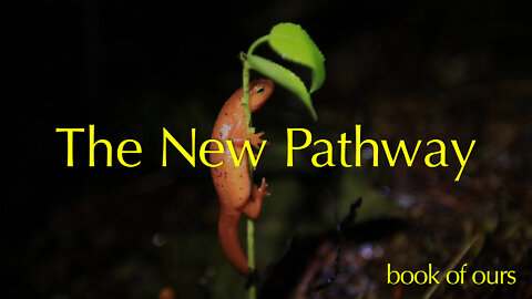 The New Pathway