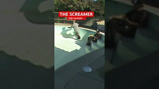 Pool Skateboarding Warm Up Run @ The Screamer Bowl in West Los Angeles