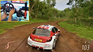 PEUGEOT 207 SUPER 2000 - FORZA HORIZON 5 WITH Steering Wheel + Shifter G29