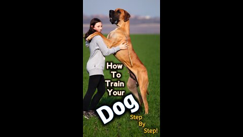 How To Train A Dog|Dog Training Program| Guard Dog Training step By Step!|