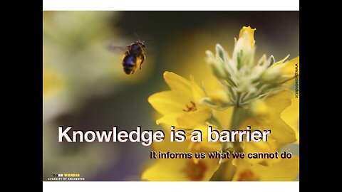 Knowledge is a barrier