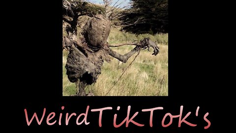 Weird TikTok's that will make you think pt 2 #tiktok