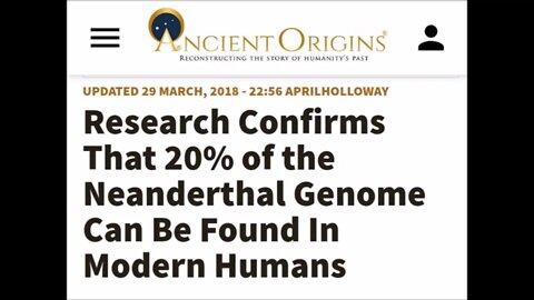 20% Of The Neanderthal Genome Found In Modern Humans Paranormal News