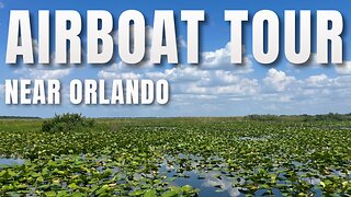 Wildlife Extravaganza: Our 45-Minute Airboat Adventure on Lake Tohopekaliga near Kissimmee/Orlando