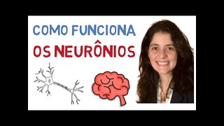 O que é um NEURÔNIO? Os Neurônios se regeneram? Saiba tudo sobre a estrutura dos Neurônios