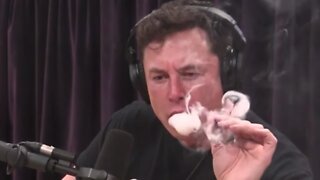 Tesla CEO Elon Musk Smokes Weed During Joe Rogan Podcast Interview