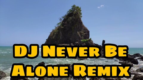 DJ Never Be Alone Remix