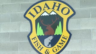 Idaho Fish and Game placing bear traps in Wood River Valley