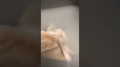 MyPillowCoverCleaning