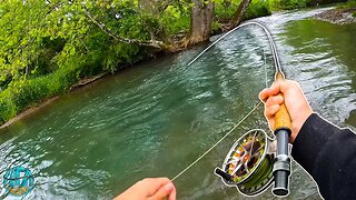 STREAMER FLY FISHING FOR GIANT BROWNS! || Best Day of Trout Fishing