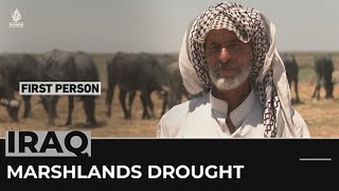 First Person: Southern Iraq's marshlands face worst drought in 40 years
