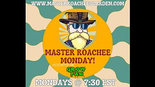 Monday's with Master Roachee