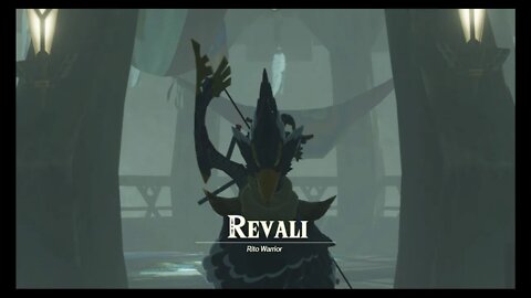 Hyrule Warriors: Age of Calamity - Chapter 2.3: Revali, the Rito Warrior (Very Hard)