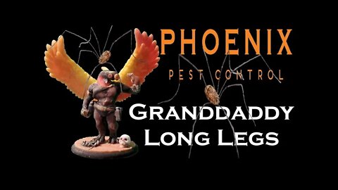 Are Granddaddy Longlegs the Most Dangerous Spider? #whatbugsme | Phoenix Pest Control TN