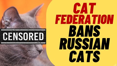 What? Russian Cats Banned By Cat Federation