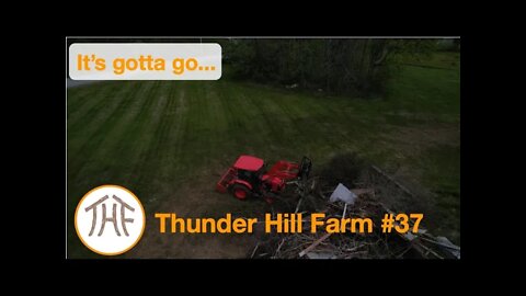 Thunder Hill Farm #37 - It's gotta go...