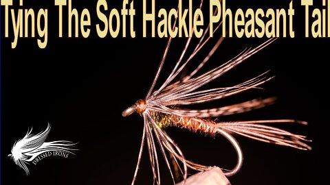 Tying The Soft Hackle Pheasant Tail - Dressed Irons