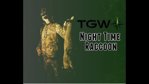 Episode 18: Night Time Raccoon - Sizzle Promo Reel