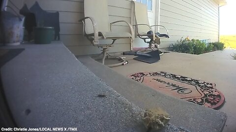 FedEx Driver Goes Above And Beyond Duty: Kills Rattlesnake On Customer's Porch