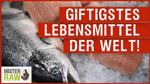 Fische zählen zu den giftigsten Lebensmitteln der Welt