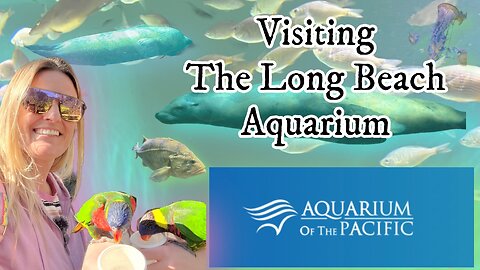 The Aquarium Of The Pacific: Long Beach CA: Tour