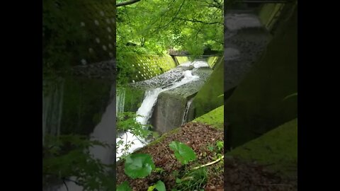 Relaxing Waterfall, River and Bridge 8 Hour ver