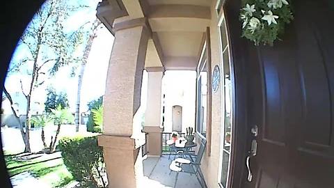Man caught on home security footage stealing packages