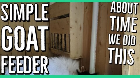 Simple Trick to Make Feeding our Nigerian Dwarf Goats Easier ||Building a Hay Feeder|| DIY ||