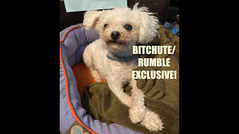 Rumble/Bitchute Exclusive Hot Take: July 21st News Blast!