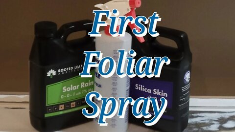 My First Foliar Spray #MarsHydro #TSW2000